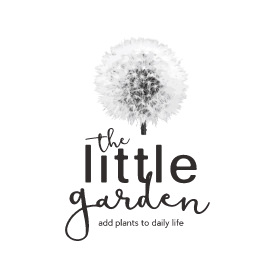 the little garden